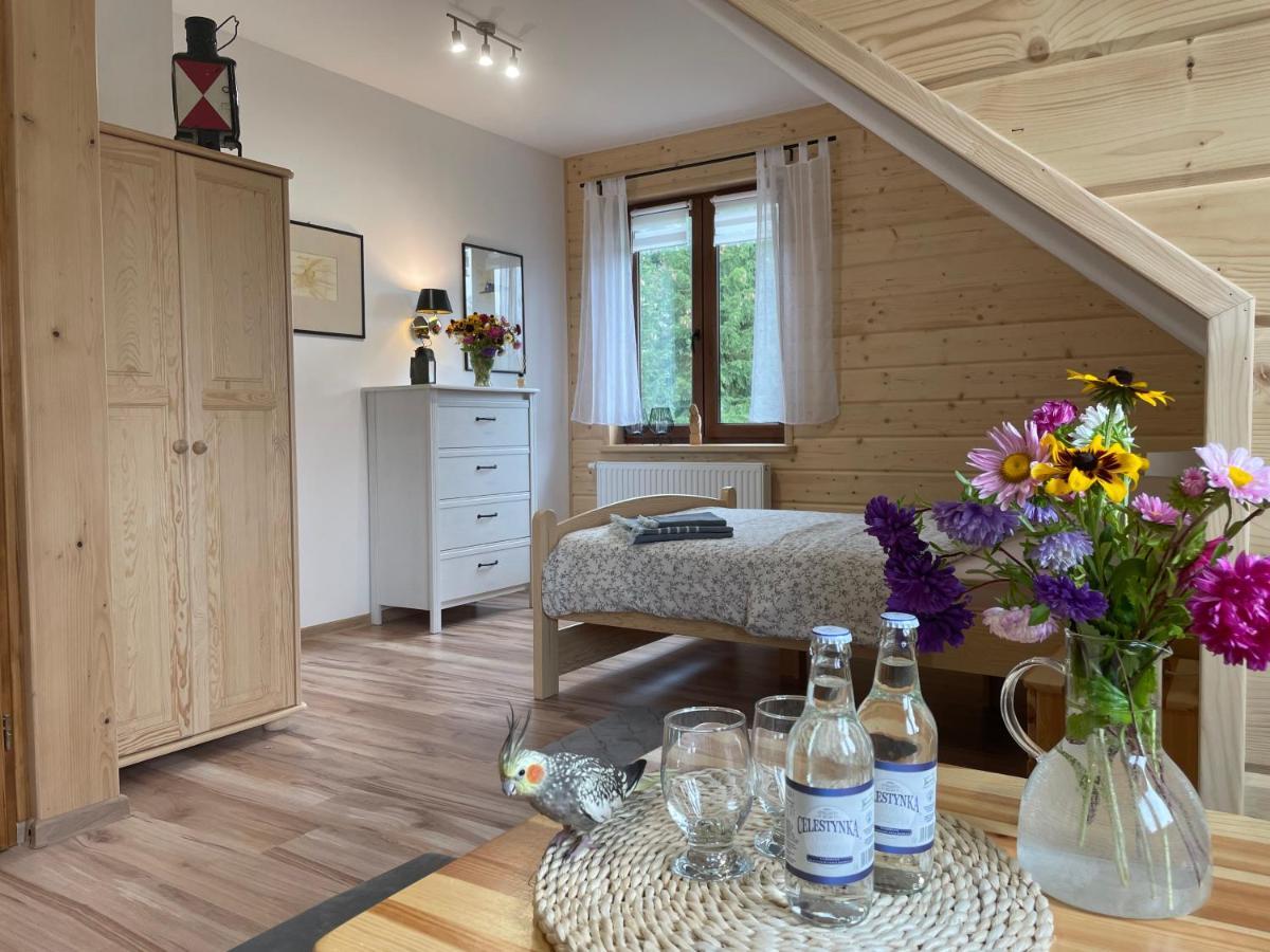 Appartement Kolejowy Smolnik à Smolnik  Extérieur photo